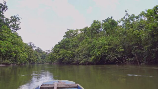 Amazing view of a river in the middle of the rainforest. 