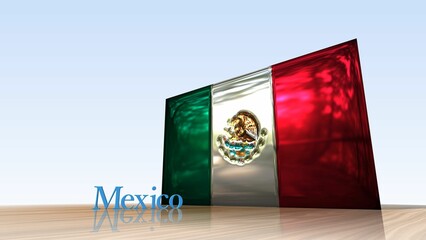 床に映るMexicoの国旗とテキスト4-3-3