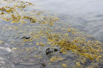 Rock, Stone Stage in nature with  seashore Landscape and blue wather nature Background with nature rocks. Norwey life.