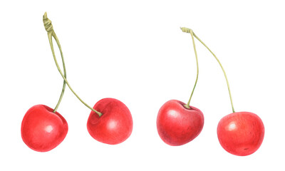 Watercolor illustration of two pairs of Cherries isolated on white background