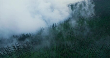 Circular drone shots of Nepal Landscape in Monsoon season. Foggy forest, naked trees with clouds, Gloomy mood, Horror and mysterious vibe 4K