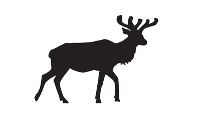 Graphical ink pen silhouette of deer on white background, vector illustration. 