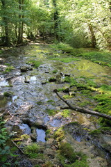 Obraz premium Mountain stream in Burgundy | Hiking in Burgundy, Grotte de la Tourneé