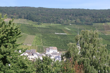 Town of Piesport in the Mosel Valley