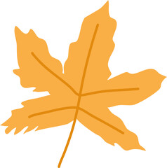 Obraz premium Autumn Leaves