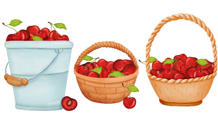 Set of cozy home compositions of the harvest. Sweet ripe juicy sweet cherry berries in wicker basket and bucket. Bright watercolor illustration. For pie, baking, jam, garden, juice prints. Hand drawn