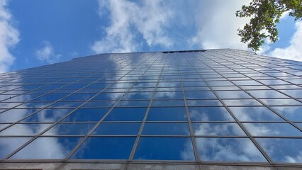 Spiegelung von Wolken und Himmel in einer Glassfassade mit grünem Ast im Vordergrund