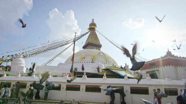 Cinematic Shot of Pidgins Taking Flight Near Boudhanath In Nepal