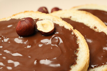 Bread with chocolate paste - tasty breakfast food