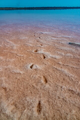 Hyperhaline Kuyalnik estuary. Footprints on Crystals Self-settling (table) salt sodium chloride
