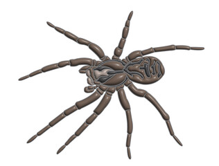 spider 3D isolated on a white background