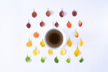 Creative layout of autumn or fall colorful leaves with coffee in white cup. Season change concept. Flat lay.