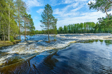 Flushing pring flood at the Dal-River in Sweden