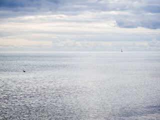 The sunlit surface of the ocean with tiny duck in the distance and sailboat on the horizon