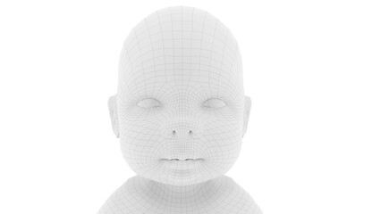 baby head 3d wireframe structure