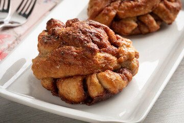 Pair of fresh homemade cinnamon rolls on a plate close up 