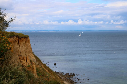 Steep coast at Boltenhagen and Sand Martin (Riparia riparia) | Baltic Sea Cycling Route