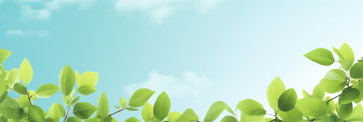 Green tree foliage on blue sky, background template banner with copy space