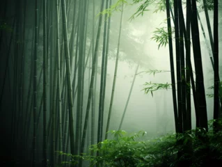 Fotobehang bamboo forest in the morning © Matsuo Studio