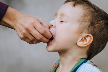 A caring woman, mother feeds a hungry boy, child, son with food, fruits, berries. Close-up photography, portrait.