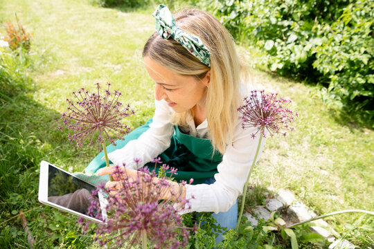 pretty young beautiful woman gardener makes a blog, live stream on the subject of flowers, plants in her garden