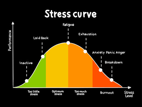Different stages of the stress curve, educational diagram concept for presentations and reports