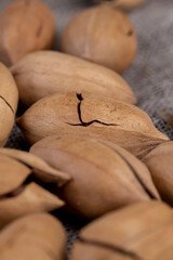 Unpeeled crunchy pecans close up