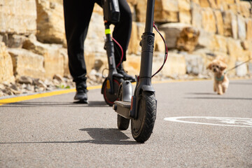 Male legs and two electric scooters stand on the road in Ukraine on Bukaveli and a dog runs nearby, riding around the city on scooters