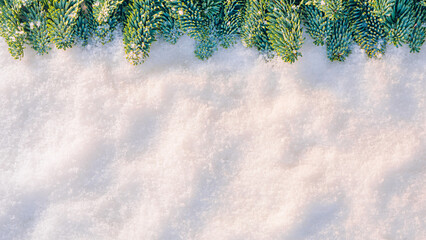 Christmas tree branches in snow in sunlight. Snow texture background
