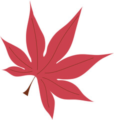 red maple leaf illustration. vector illustration of autumn maple leaf in flat style. abstract fall leaf