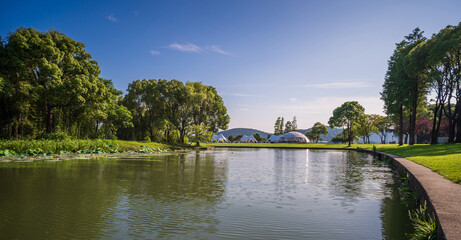 Obraz premium Green trees reflected in small lake in nice city park