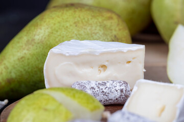 delicious soft cheese with white mold close-up