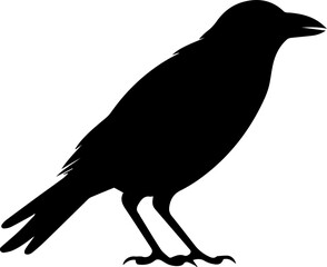 Crow Flat Icon