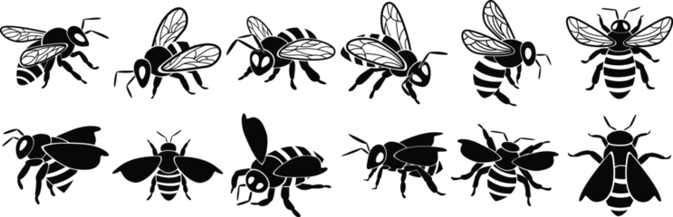 Fotobehang Set of bee silhouettes, isolated on white background © Smix Ryo 