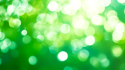 Obraz premium 緑の玉ぼけ