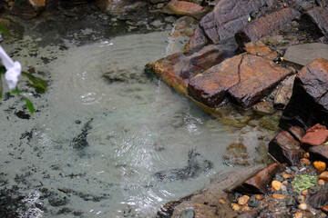 water flowing into the river