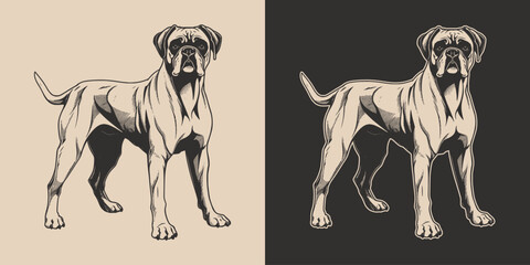 Set of  viking boxer dog mammal animal. Graphic Art. Vector. Hand drawn element in engraving
