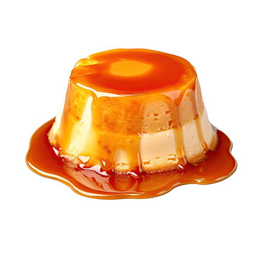 tasty home made egg flan with caramel