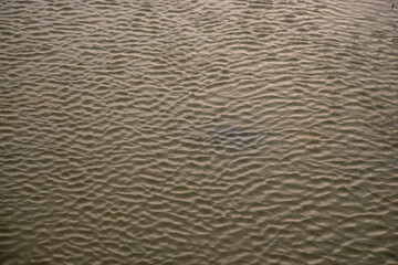 The yellow sun rises in the river with gentle ripples on the surface and light refraction