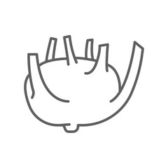 Fototapeta premium kohlrabi icon. fresh nature organic vegetable food. biennial vegetable stout cultivar of raw root Cabbage turnip outline style editable stroke vector illustration design on white background