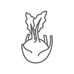 kohlrabi icon. fresh nature organic vegetable food. biennial vegetable stout cultivar of raw root Cabbage turnip outline style editable stroke vector illustration design on white background