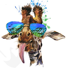 Hipster Giraffe watercolor illustration isolated on white - 648138558