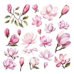 Set of Hand Painted Magnolia Flower Watercolor