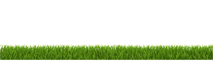 Obraz premium green grass background