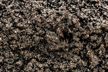 ground coffee background , texture