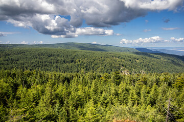 View of endless spruce forests of Jizera Mountains from mountain viewpoint © Jaroslav Machacek