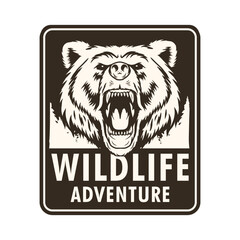 wildlife adventure badge with bear head
