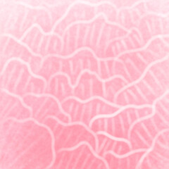 pink and white curve background