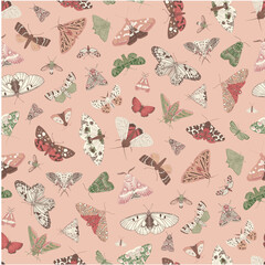 Butterflies and Moths. Seamless pattern. Vector vintage illustration.