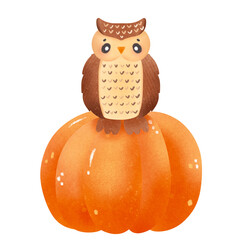 Owl Fall Autumn Woodland Pumpkin Hand drawn Watercolor Illustration